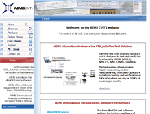 Tablet Screenshot of aimsint.com